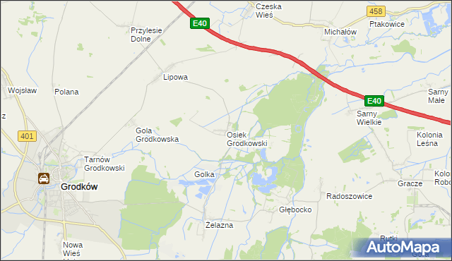 mapa Osiek Grodkowski, Osiek Grodkowski na mapie Targeo