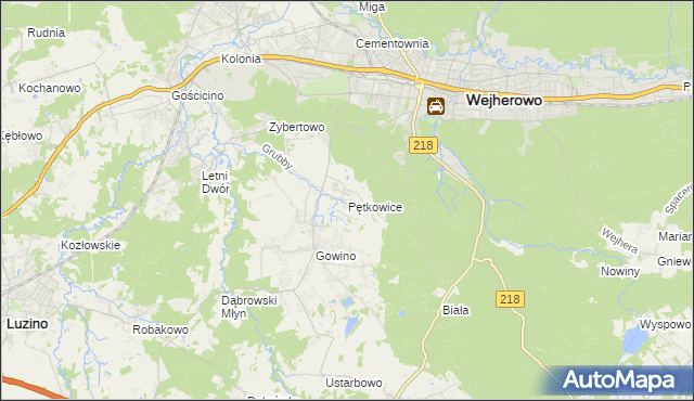 mapa Pętkowice gmina Wejherowo, Pętkowice gmina Wejherowo na mapie Targeo