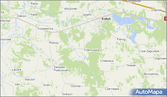 mapa Trzemuszka, Trzemuszka na mapie Targeo