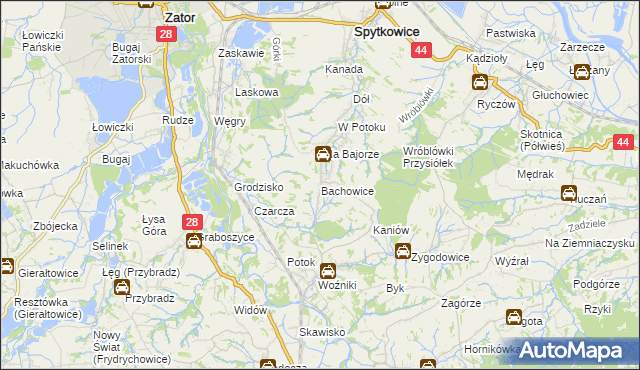 mapa Bachowice, Bachowice na mapie Targeo