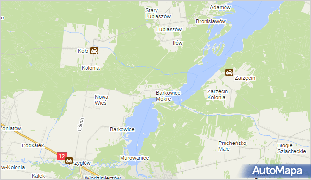 mapa Barkowice Mokre, Barkowice Mokre na mapie Targeo
