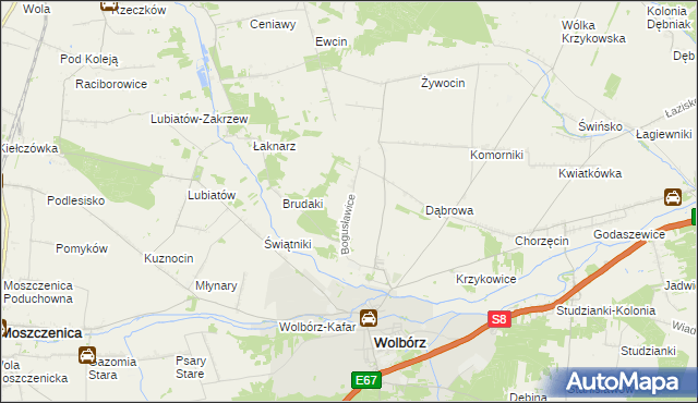 mapa Bogusławice gmina Wolbórz, Bogusławice gmina Wolbórz na mapie Targeo