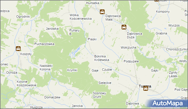 mapa Bokinka Królewska, Bokinka Królewska na mapie Targeo