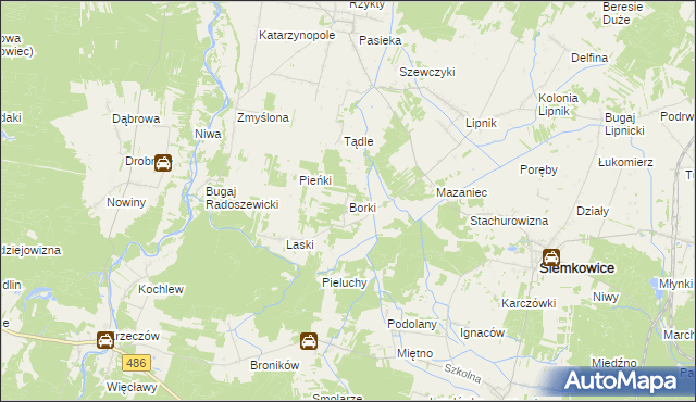 mapa Borki gmina Siemkowice, Borki gmina Siemkowice na mapie Targeo