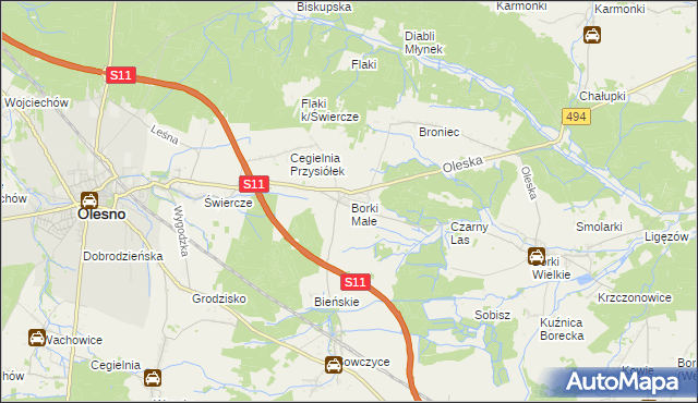 mapa Borki Małe gmina Olesno, Borki Małe gmina Olesno na mapie Targeo