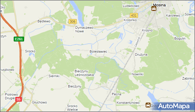 mapa Borkowice gmina Mosina, Borkowice gmina Mosina na mapie Targeo