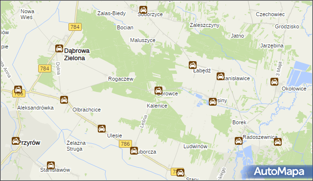 mapa Borowce gmina Dąbrowa Zielona, Borowce gmina Dąbrowa Zielona na mapie Targeo