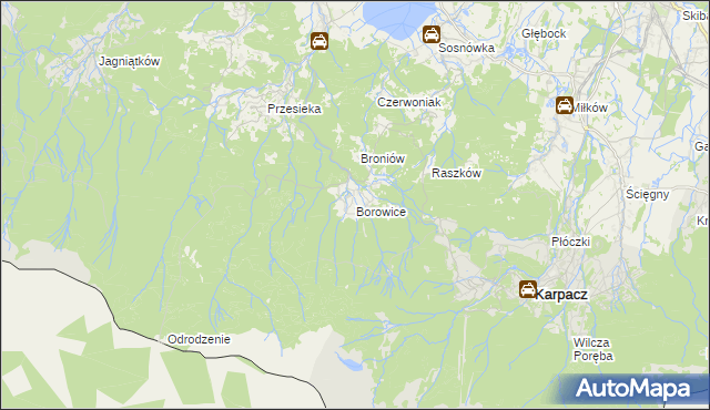 mapa Borowice gmina Podgórzyn, Borowice gmina Podgórzyn na mapie Targeo