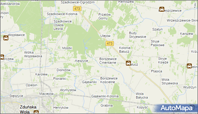 mapa Borszewice Cmentarne, Borszewice Cmentarne na mapie Targeo