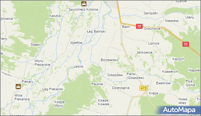 mapa Borzewisko gmina Poddębice, Borzewisko gmina Poddębice na mapie Targeo