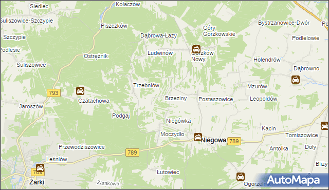 mapa Brzeziny gmina Niegowa, Brzeziny gmina Niegowa na mapie Targeo