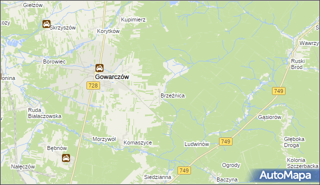 mapa Brzeźnica gmina Gowarczów, Brzeźnica gmina Gowarczów na mapie Targeo