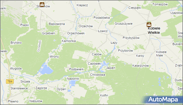 mapa Cadów, Cadów na mapie Targeo