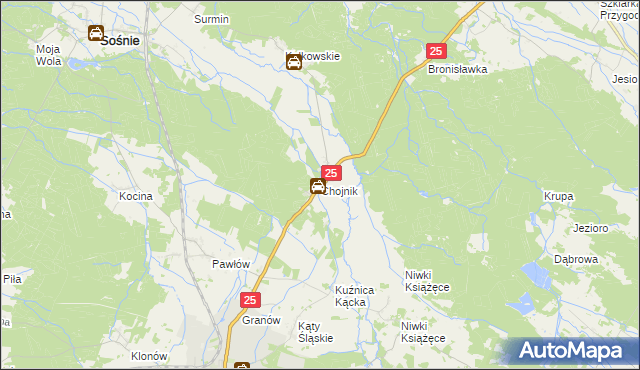 mapa Chojnik gmina Sośnie, Chojnik gmina Sośnie na mapie Targeo