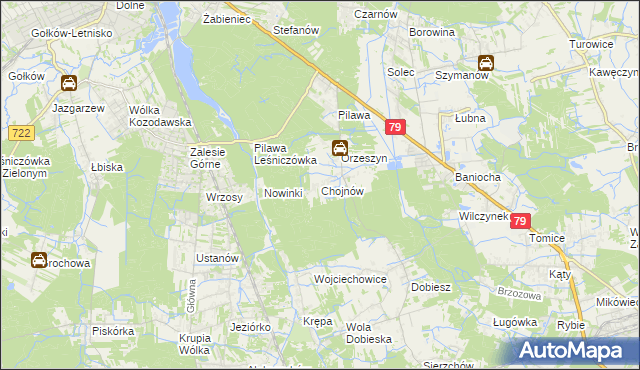 mapa Chojnów gmina Piaseczno, Chojnów gmina Piaseczno na mapie Targeo