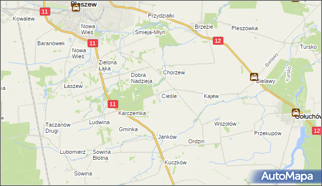 mapa Cieśle gmina Gołuchów, Cieśle gmina Gołuchów na mapie Targeo