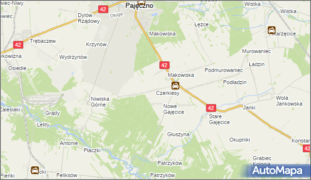 mapa Czerkiesy gmina Pajęczno, Czerkiesy gmina Pajęczno na mapie Targeo