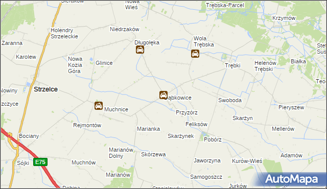 mapa Dąbkowice gmina Strzelce, Dąbkowice gmina Strzelce na mapie Targeo