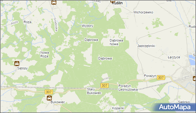 mapa Dąbrowa gmina Opalenica, Dąbrowa gmina Opalenica na mapie Targeo