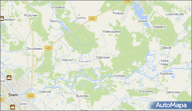 mapa Dąbrowa gmina Śrem, Dąbrowa gmina Śrem na mapie Targeo