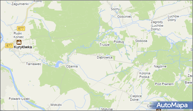 mapa Dąbrowica gmina Kuryłówka, Dąbrowica gmina Kuryłówka na mapie Targeo