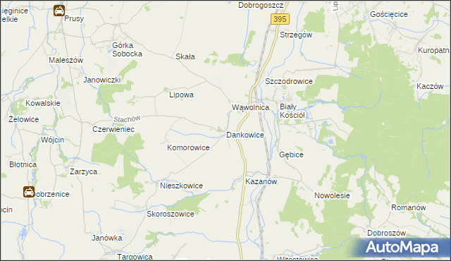 mapa Dankowice gmina Strzelin, Dankowice gmina Strzelin na mapie Targeo