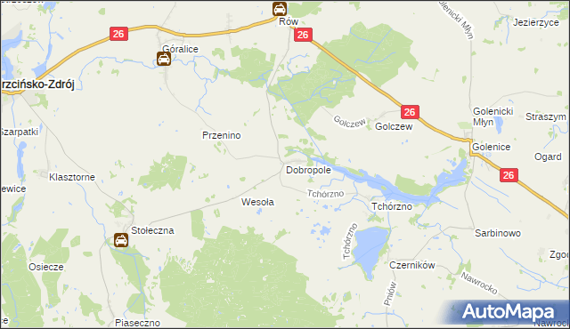 mapa Dobropole gmina Trzcińsko-Zdrój, Dobropole gmina Trzcińsko-Zdrój na mapie Targeo