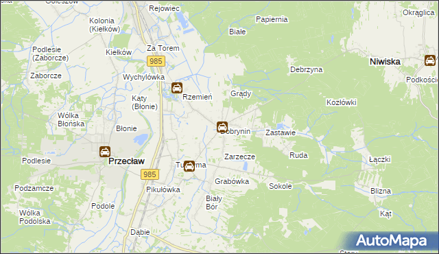 mapa Dobrynin, Dobrynin na mapie Targeo