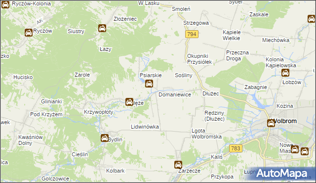 mapa Domaniewice gmina Wolbrom, Domaniewice gmina Wolbrom na mapie Targeo