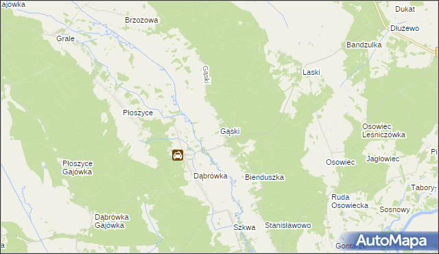 mapa Gąski gmina Lelis, Gąski gmina Lelis na mapie Targeo