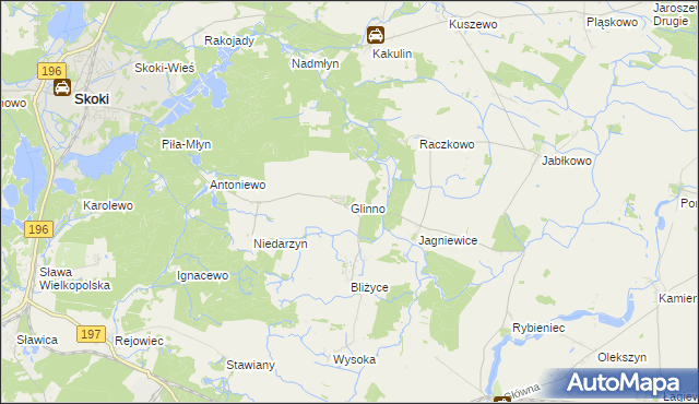 mapa Glinno gmina Skoki, Glinno gmina Skoki na mapie Targeo