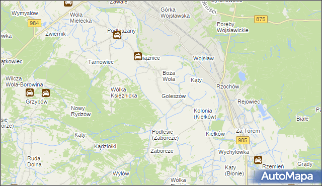 mapa Goleszów gmina Mielec, Goleszów gmina Mielec na mapie Targeo