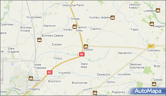 mapa Goślice, Goślice na mapie Targeo