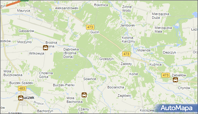 mapa Grzeszyn gmina Buczek, Grzeszyn gmina Buczek na mapie Targeo