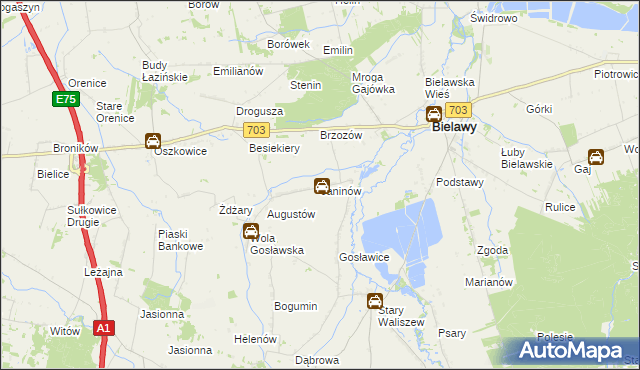 mapa Janinów gmina Bielawy, Janinów gmina Bielawy na mapie Targeo