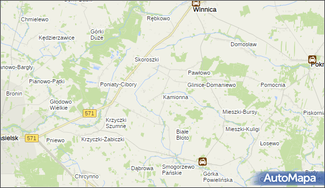 mapa Kamionna gmina Winnica, Kamionna gmina Winnica na mapie Targeo