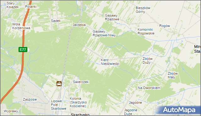 mapa Kierz Niedźwiedzi, Kierz Niedźwiedzi na mapie Targeo