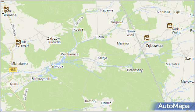 mapa Knieja gmina Zębowice, Knieja gmina Zębowice na mapie Targeo