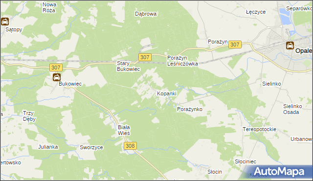 mapa Kopanki gmina Opalenica, Kopanki gmina Opalenica na mapie Targeo