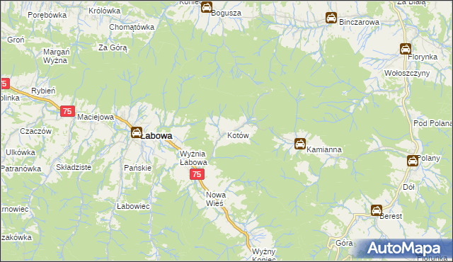 mapa Kotów gmina Łabowa, Kotów gmina Łabowa na mapie Targeo