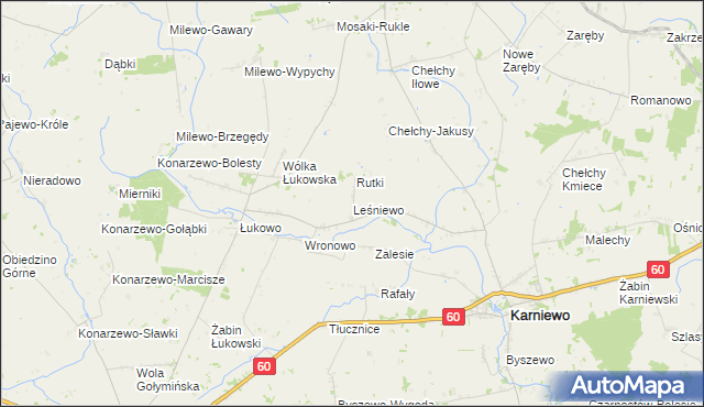 mapa Leśniewo gmina Karniewo, Leśniewo gmina Karniewo na mapie Targeo