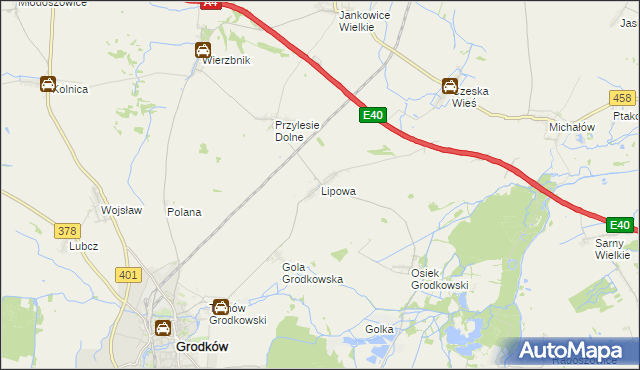 mapa Lipowa gmina Grodków, Lipowa gmina Grodków na mapie Targeo