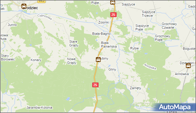 mapa Lubiny gmina Rychwał, Lubiny gmina Rychwał na mapie Targeo