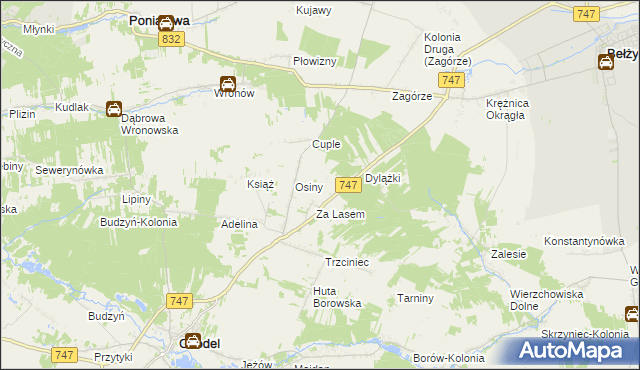 mapa Malinowszczyzna gmina Bełżyce, Malinowszczyzna gmina Bełżyce na mapie Targeo