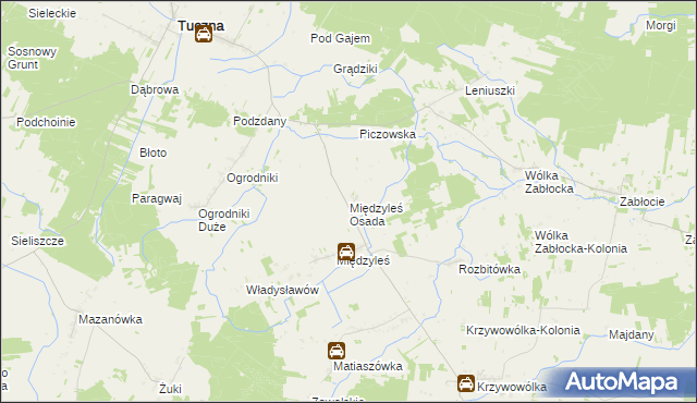 mapa Międzyleś Osada, Międzyleś Osada na mapie Targeo