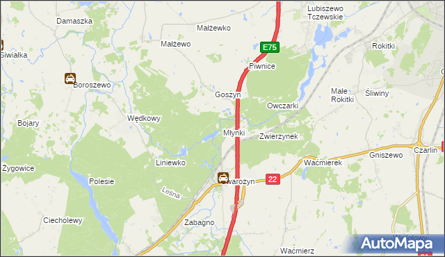 mapa Młynki gmina Tczew, Młynki gmina Tczew na mapie Targeo