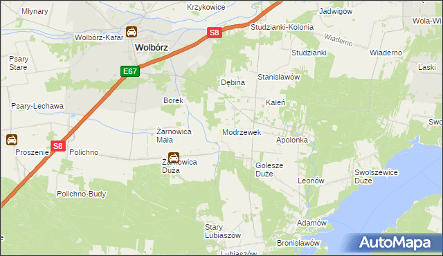 mapa Modrzewek gmina Wolbórz, Modrzewek gmina Wolbórz na mapie Targeo