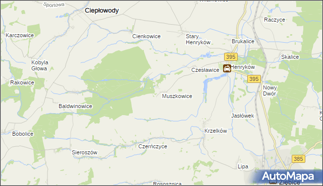 mapa Muszkowice, Muszkowice na mapie Targeo