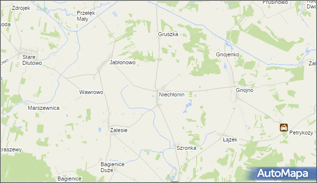 mapa Niechłonin, Niechłonin na mapie Targeo