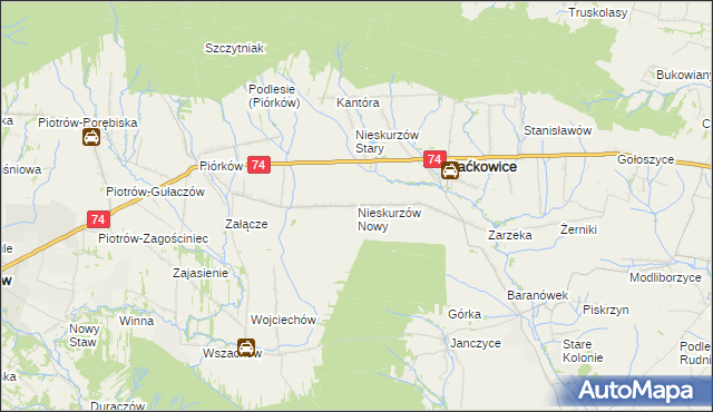 mapa Nieskurzów Nowy, Nieskurzów Nowy na mapie Targeo